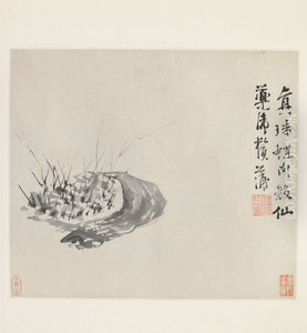 <<xu wei za hua tu ce>> <<xu wei za hua tu ce>>