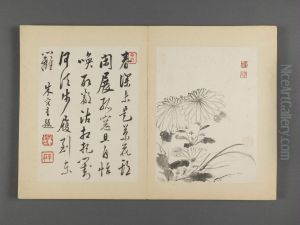 <<zhu da za hua ce>>