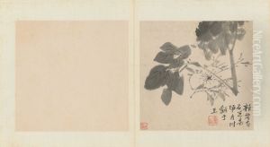<<zhu da za hua ce>>