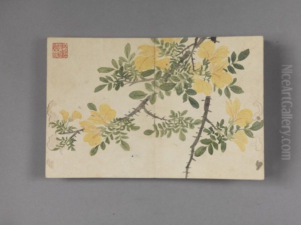 <<dong gao hua hui ce>> - view 1