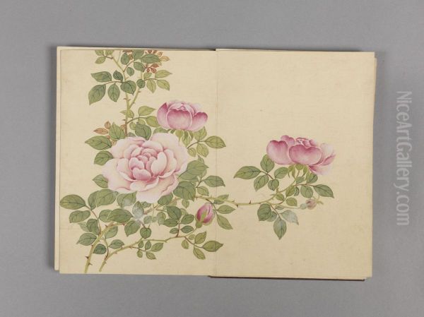 <<dong gao hua hui xiao ce>> - view 1