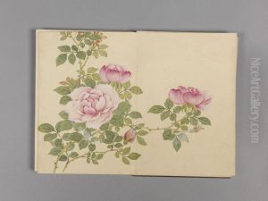 <<dong gao hua hui xiao ce>>