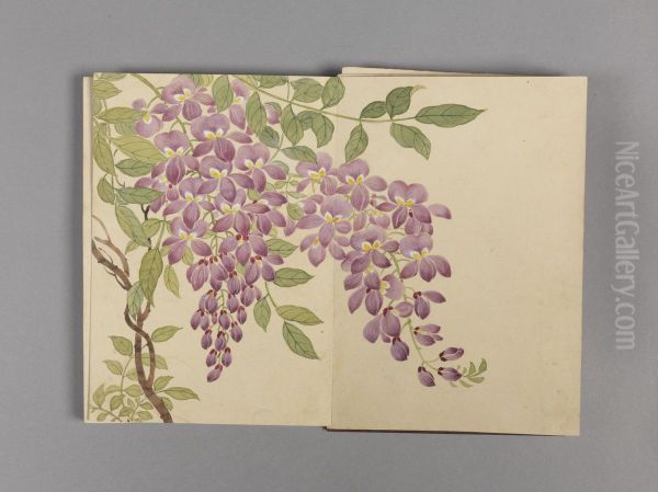 <<dong gao hua hui xiao ce>> - view 1