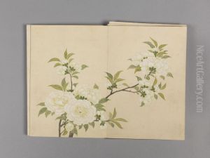 <<dong gao hua hui xiao ce>>