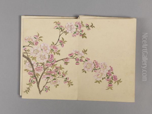 <<dong gao hua hui xiao ce>> - view 1
