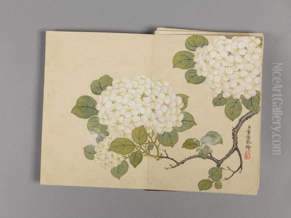 <<dong gao hua hui xiao ce>> - view 1