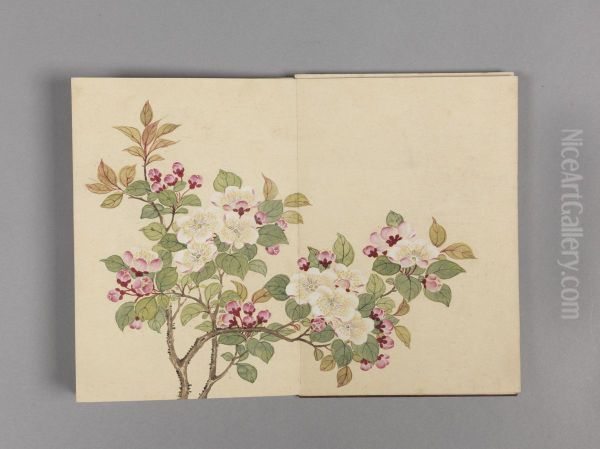 <<dong gao hua hui xiao ce>> - view 1