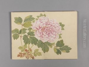<<dong gao hua hui xiao ce>>