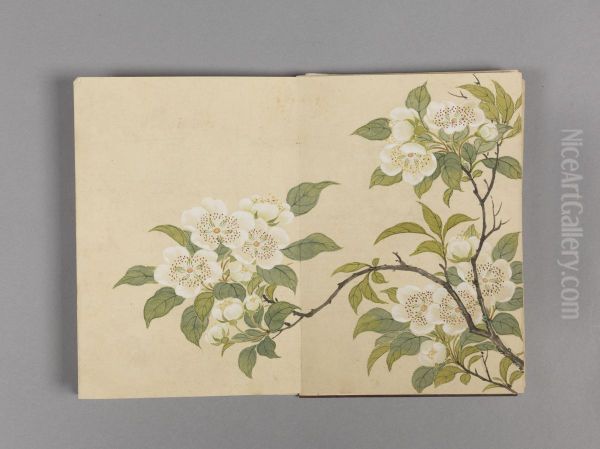 <<dong gao hua hui xiao ce>> - view 1