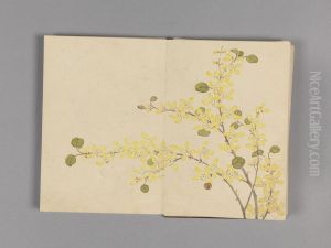 <<dong gao hua hui xiao ce>>
