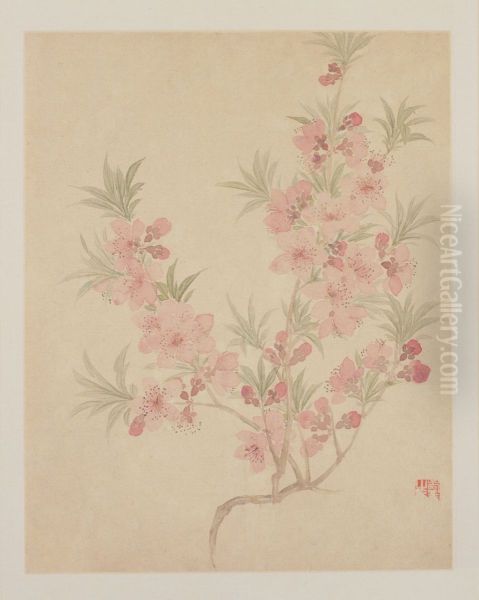 <<yun shou ping hua niao ce>> - view 1