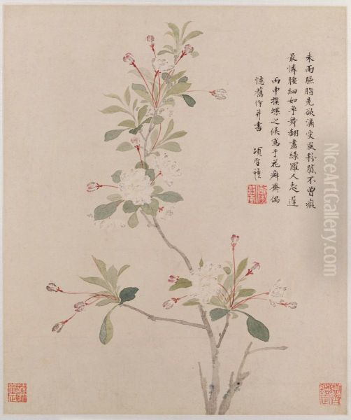 <<xiang sheng mo hua hui cao chong ce>> - view 1