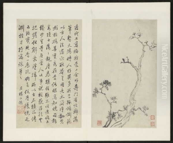 <<jin jun ming mei hua tu ce>> - view 1