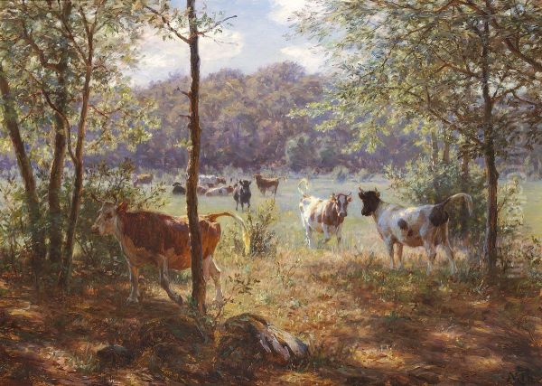 Cows running around. - view 1