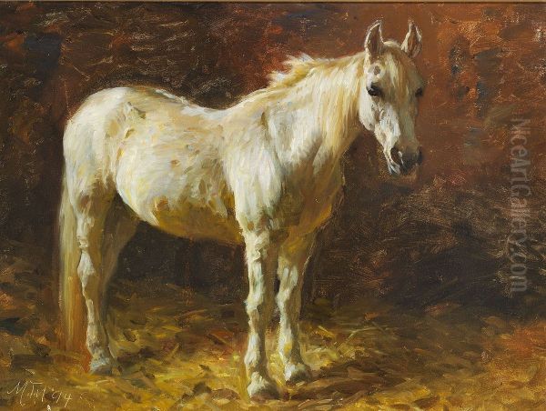 A white mare. - view 1