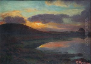 Evening sun over the dunes, Fano.