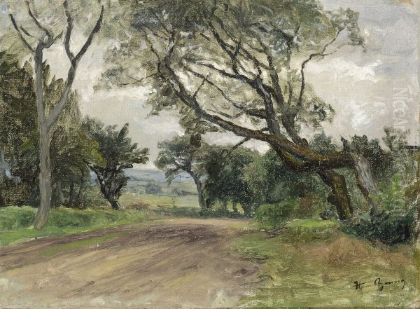 A tree lined road. - view 1
