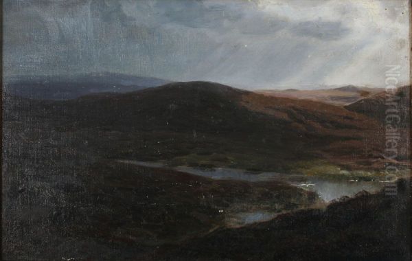 Heath landscape. (30 x 45 cm). - view 1