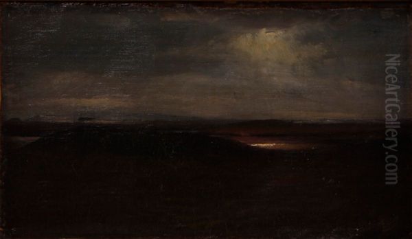Heath landscape, evening. - view 1