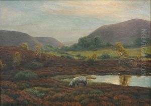 Hilly landscape with a pond and a sheep. by Hans Agersnap