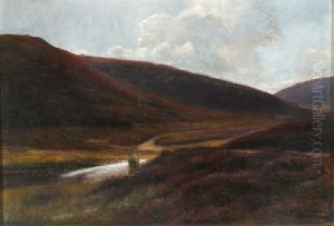 Landscape at Dover Bakker near Foldingbro. Landscape at Dover Bakker near Foldingbro.