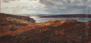 Sunny spells over the plantation at Hjarl heath in October.