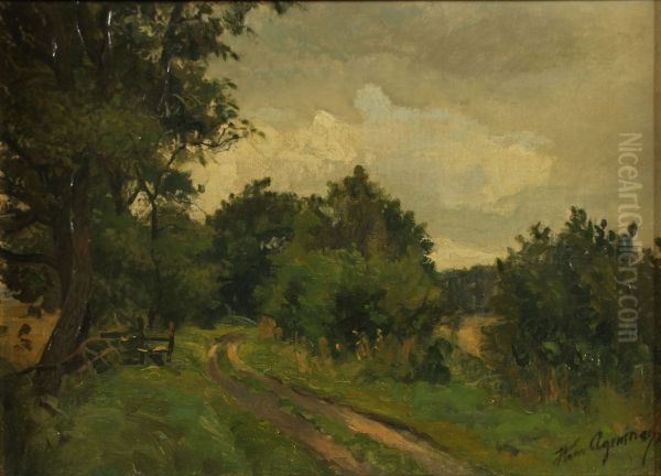 A road through the woods. - view 1