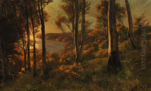 Woodlands at sunset. by Hans Agersnap