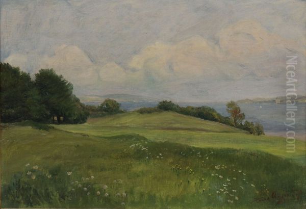 View of a hilly summer landscape. - view 1