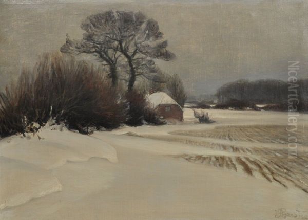 Winter landscape with snow covered fields. - view 1