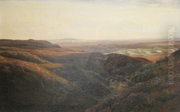 View from the moors of Jutland. - view 1