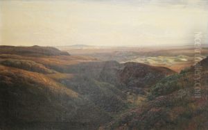View from the moors of Jutland.