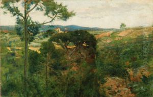 "colline A San Giminiano"
