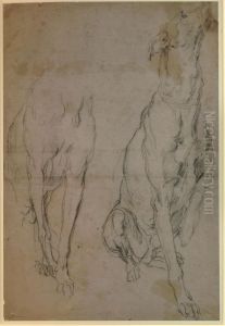 Studies of a Greyhound by Sir Anthony Van Dyck