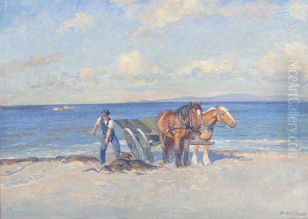 Collecting seaweed on a beach. - view 1