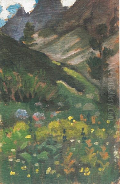 Little Meadow Valley - view 1