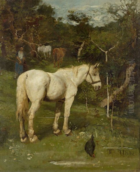 A white horse - view 1