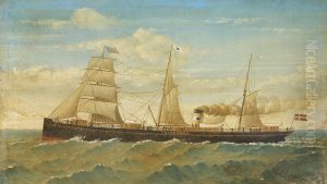 The steamship Thingvalla. The steamship Thingvalla.