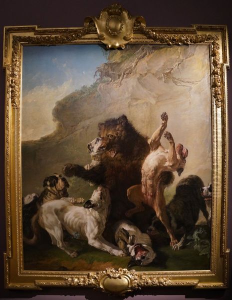 Un Ours de Pologne attaque par des Chiens - view 1