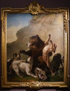 Un Ours de Pologne attaque par des Chiens