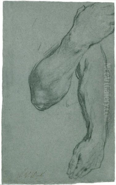 Two Studies of a Man's Forearm - view 1