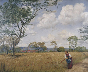 Grainfield near Oberursel Grainfield near Oberursel