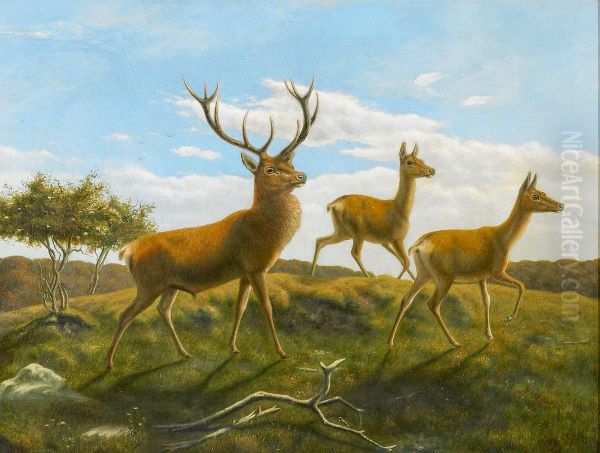 Landscape with a red deer stag and two hinds. - view 1