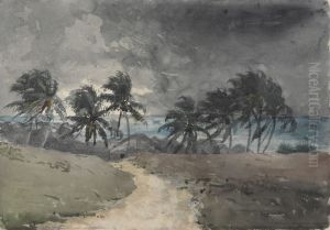 Storm, Bahamas by Winslow Homer