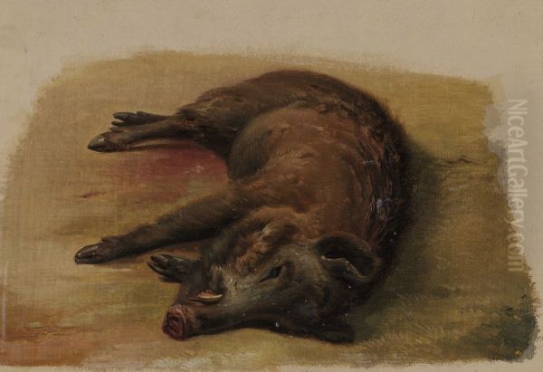 Sanglier abattu - view 1
