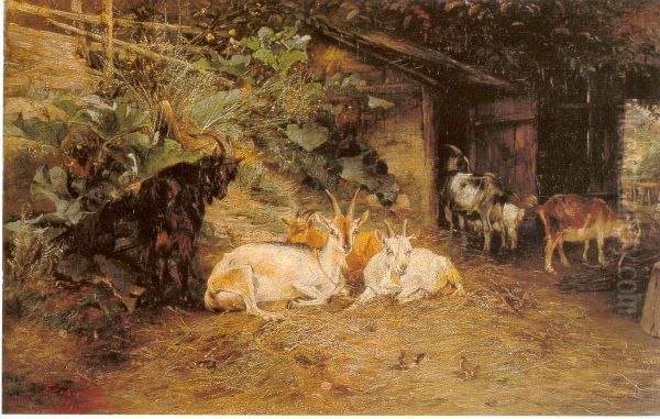 Goats at the stable - view 1