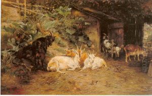 Goats at the stable