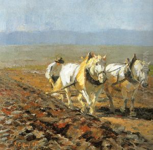 Bauer mit Schimmelgespann beim Pflugen an einem hellen Fruhlingstag.