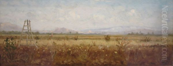 Landscape in Southern France - view 1