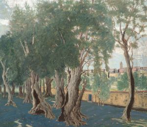 Olive grove